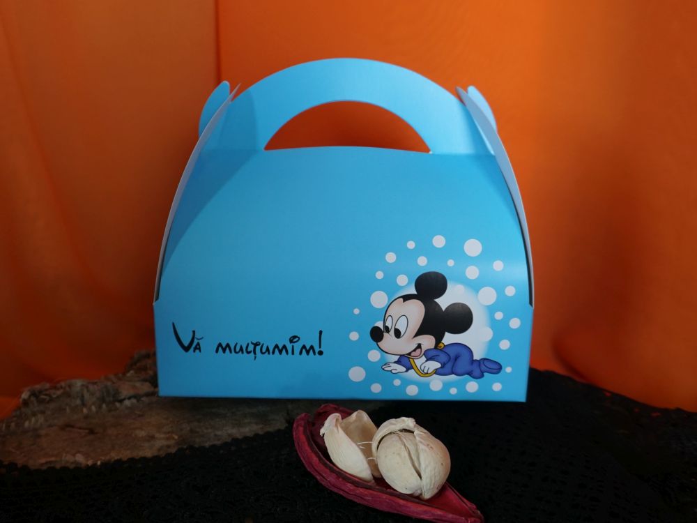 48365Mickey-2